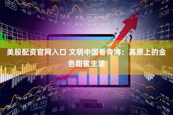 美股配资官网入口 文明中国看青海：高原上的金色甜蜜生活